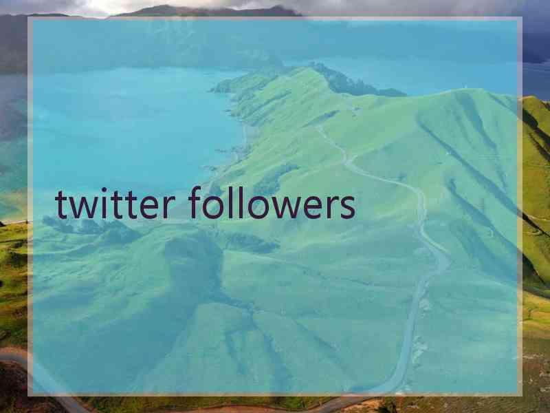 twitter followers