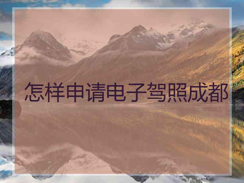 怎样申请电子驾照成都