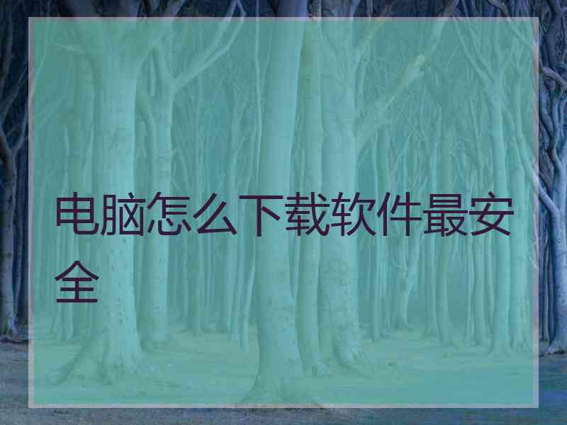 电脑怎么下载软件最安全