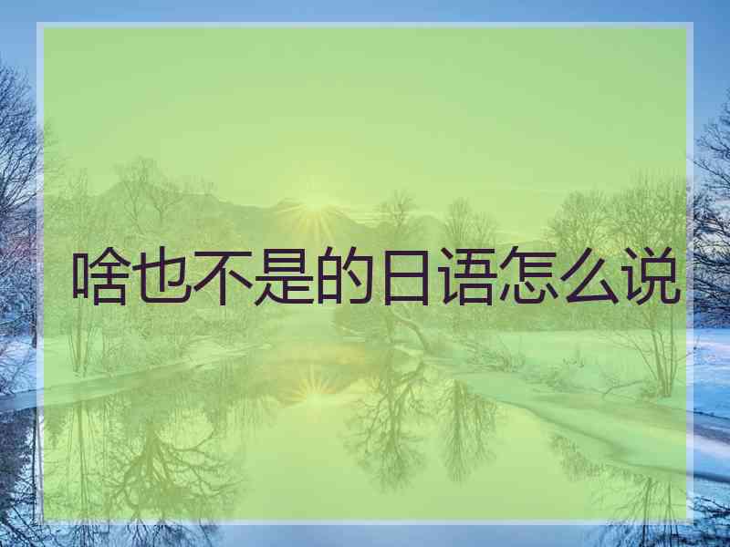 啥也不是的日语怎么说