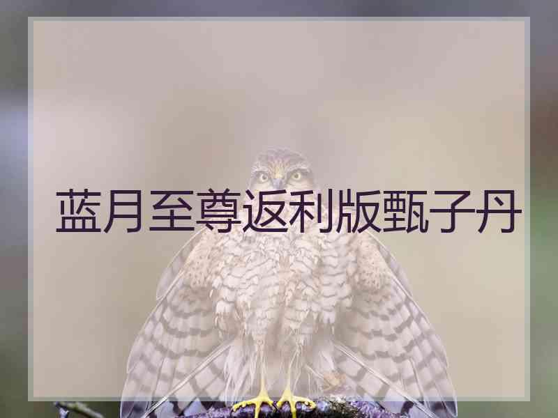 蓝月至尊返利版甄子丹