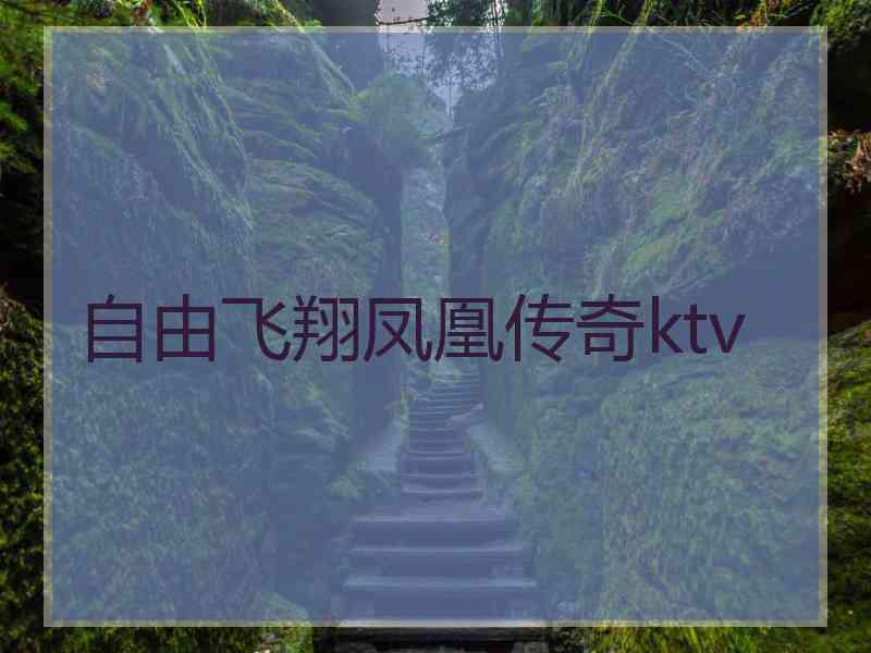 自由飞翔凤凰传奇ktv