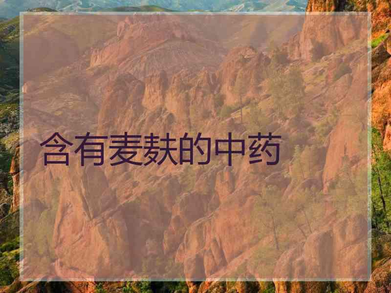 含有麦麸的中药