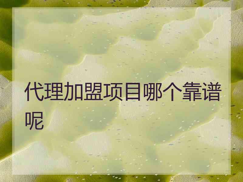 代理加盟项目哪个靠谱呢