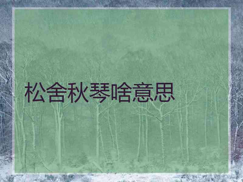 松舍秋琴啥意思
