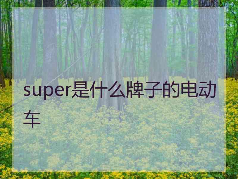 super是什么牌子的电动车
