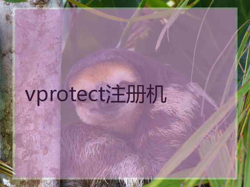 vprotect注册机