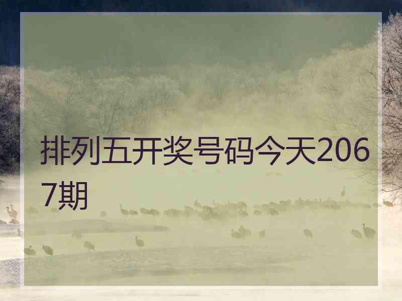 排列五开奖号码今天2067期
