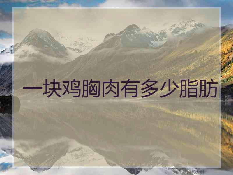 一块鸡胸肉有多少脂肪