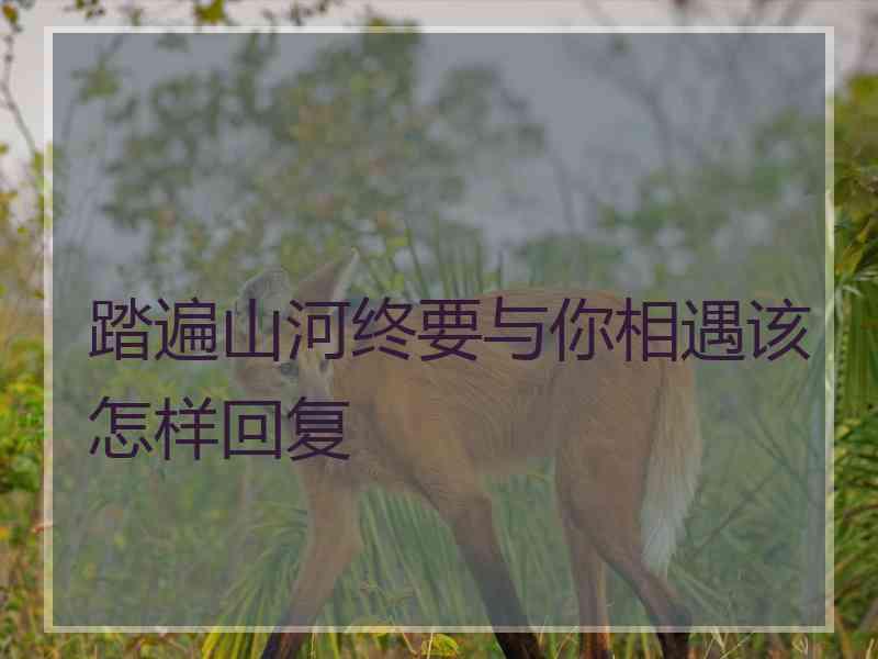 踏遍山河终要与你相遇该怎样回复