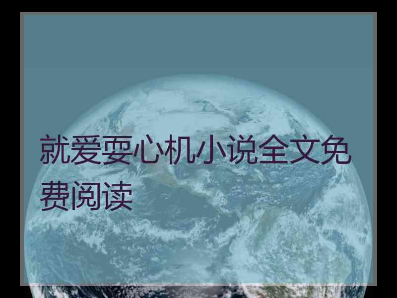 就爱耍心机小说全文免费阅读
