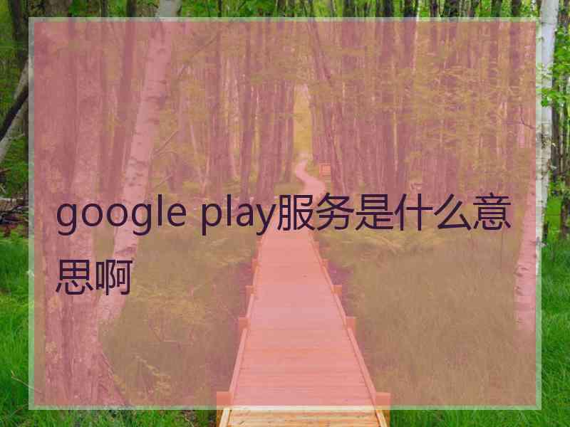 google play服务是什么意思啊