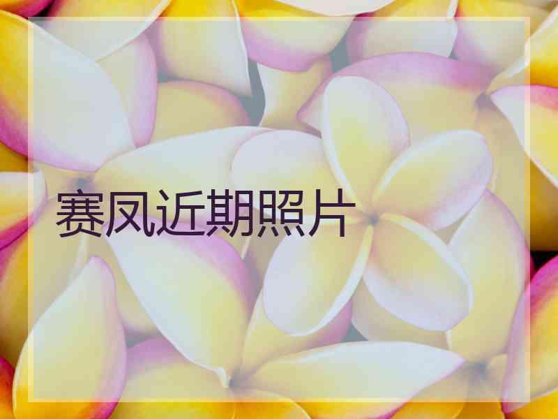 赛凤近期照片
