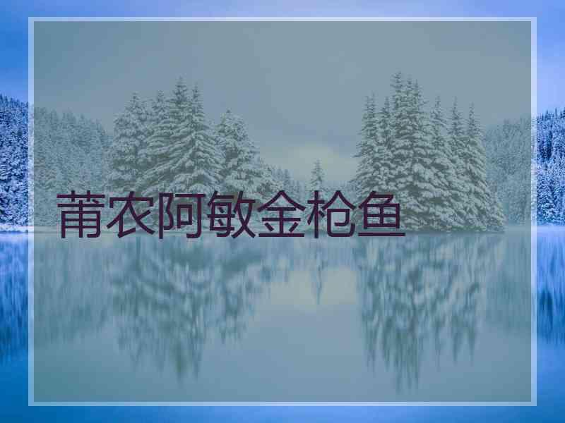 莆农阿敏金枪鱼