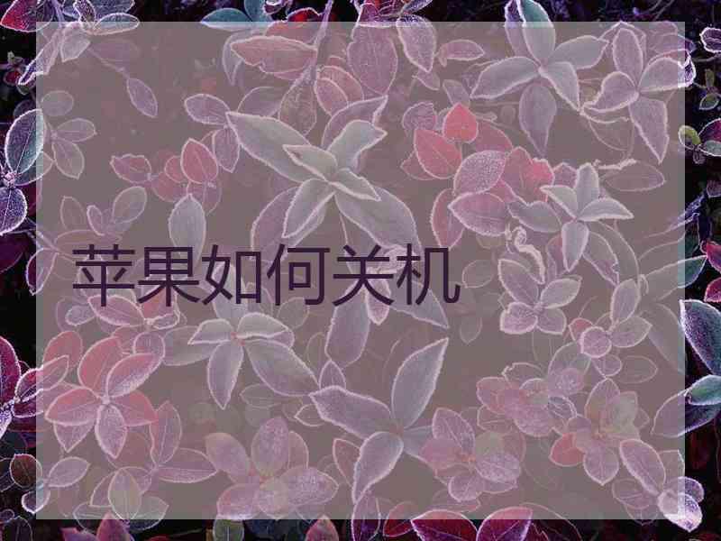 苹果如何关机