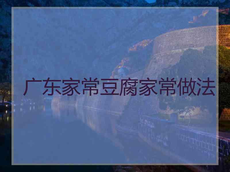 广东家常豆腐家常做法