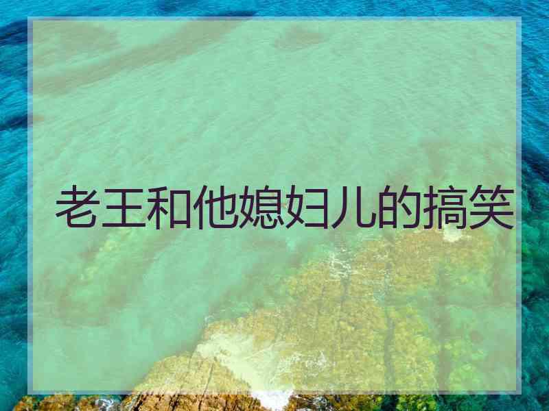 老王和他媳妇儿的搞笑