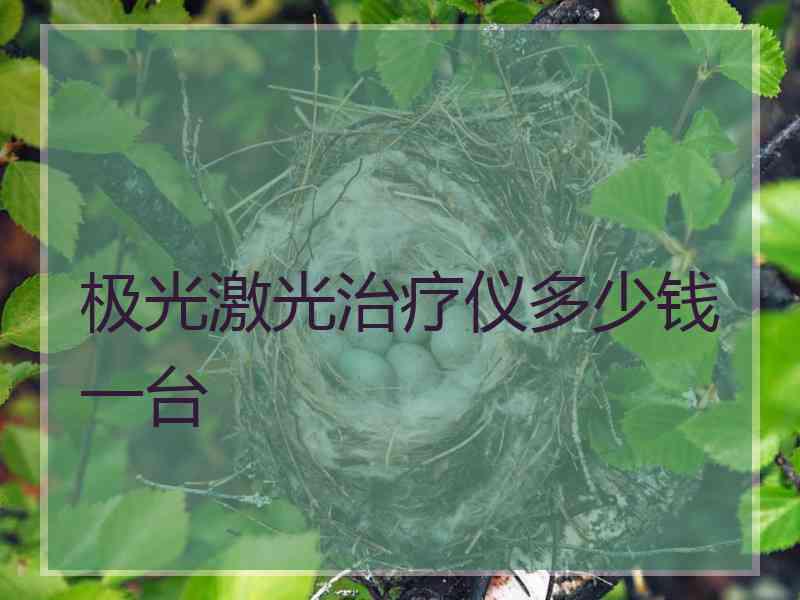 极光激光治疗仪多少钱一台