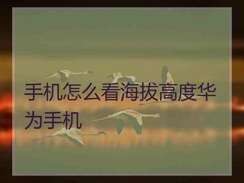 手机怎么看海拔高度华为手机