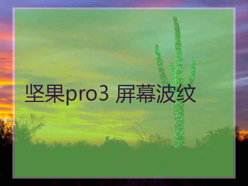 坚果pro3 屏幕波纹