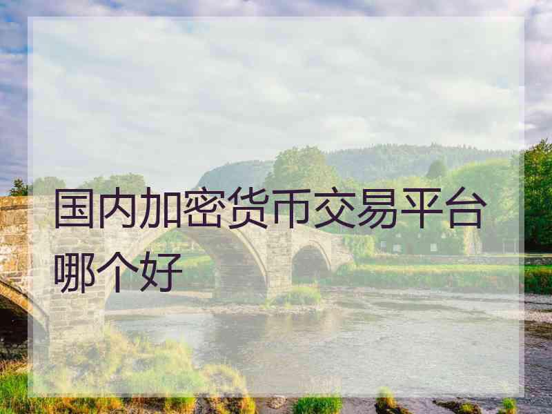国内加密货币交易平台哪个好