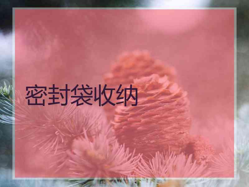 密封袋收纳
