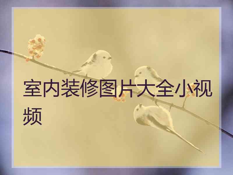 室内装修图片大全小视频