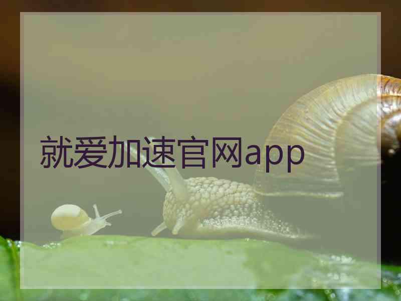 就爱加速官网app