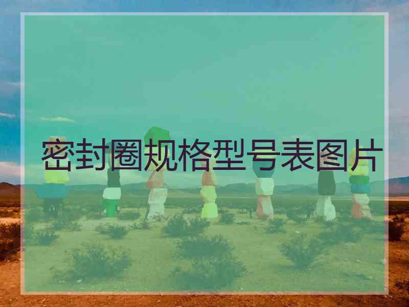 密封圈规格型号表图片