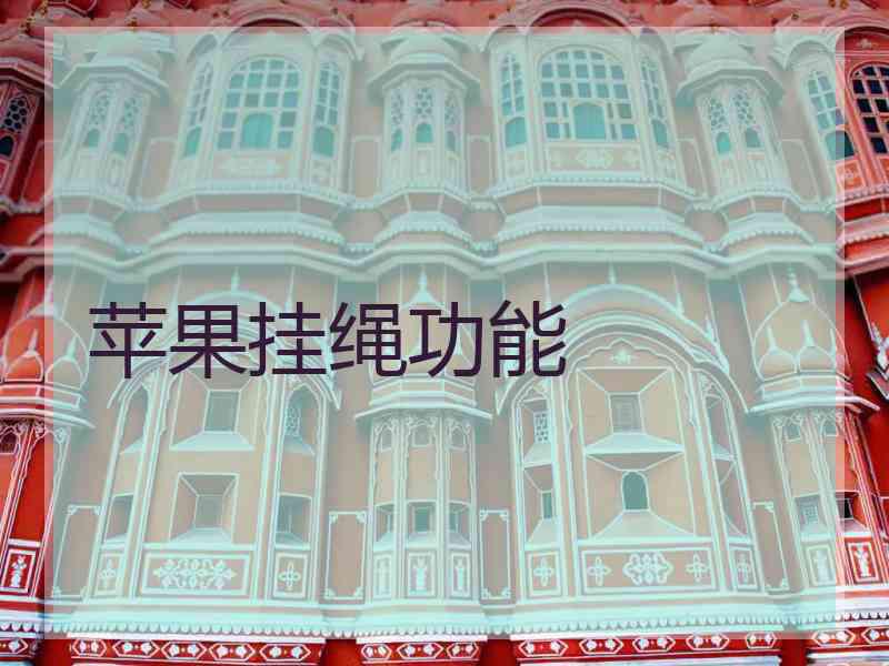 苹果挂绳功能