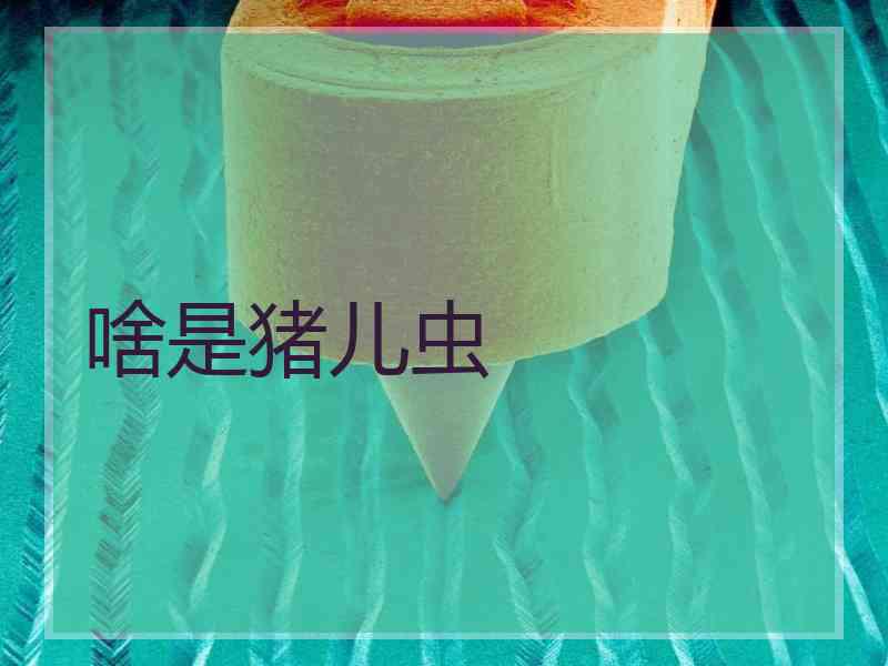 啥是猪儿虫