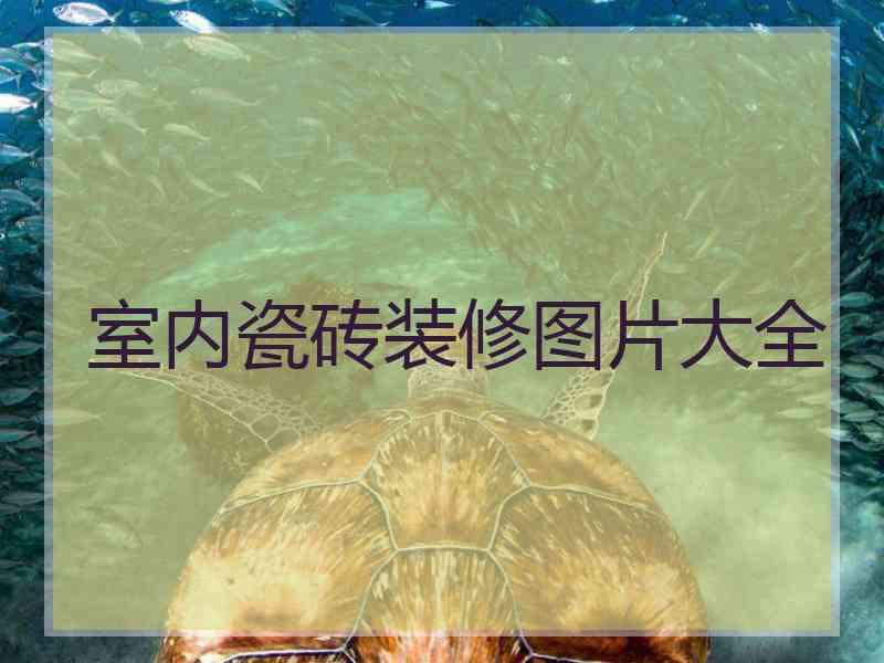 室内瓷砖装修图片大全