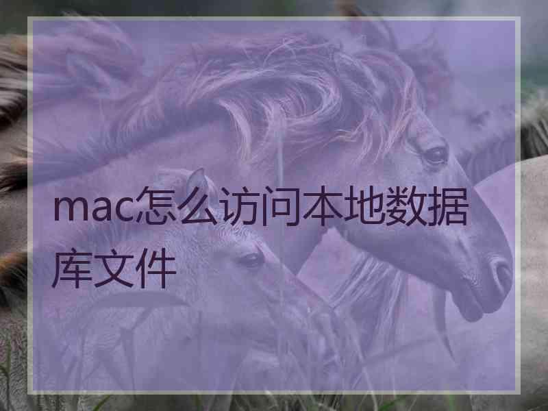 mac怎么访问本地数据库文件