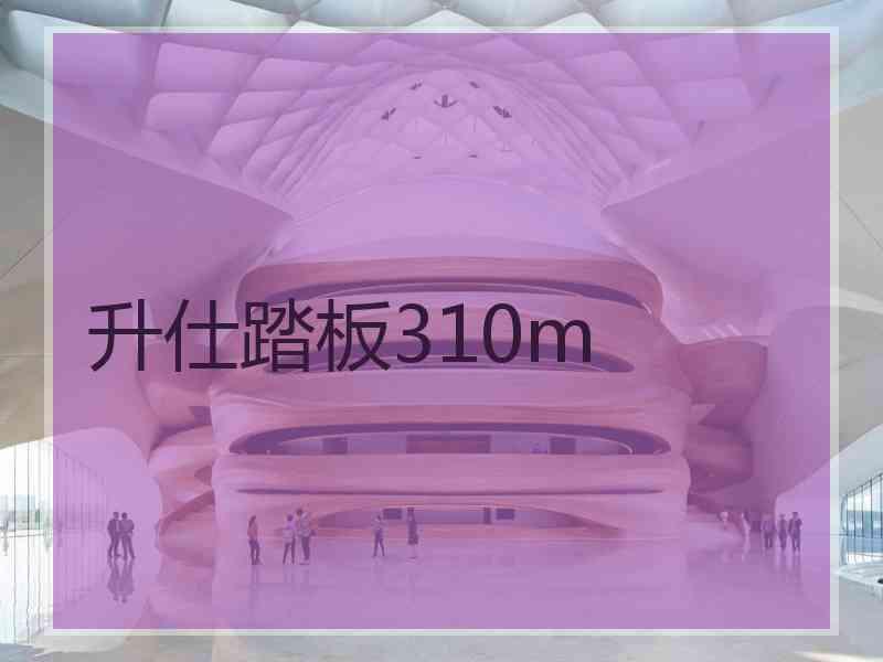 升仕踏板310m