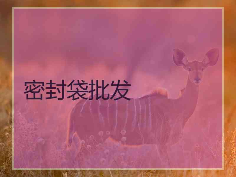 密封袋批发