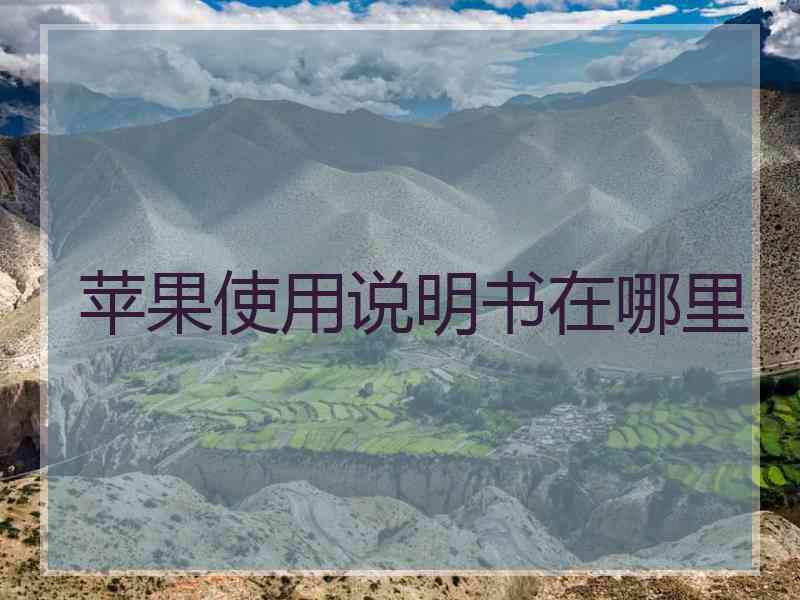苹果使用说明书在哪里