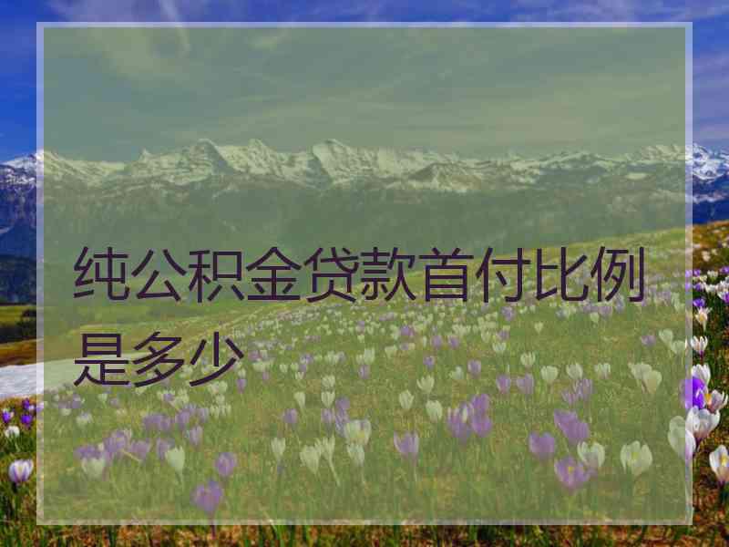 纯公积金贷款首付比例是多少