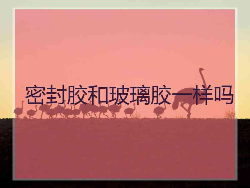 密封胶和玻璃胶一样吗
