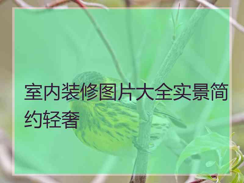 室内装修图片大全实景简约轻奢