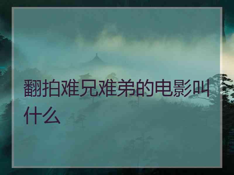 翻拍难兄难弟的电影叫什么