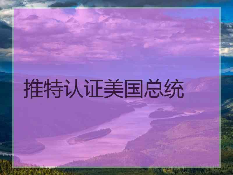 推特认证美国总统