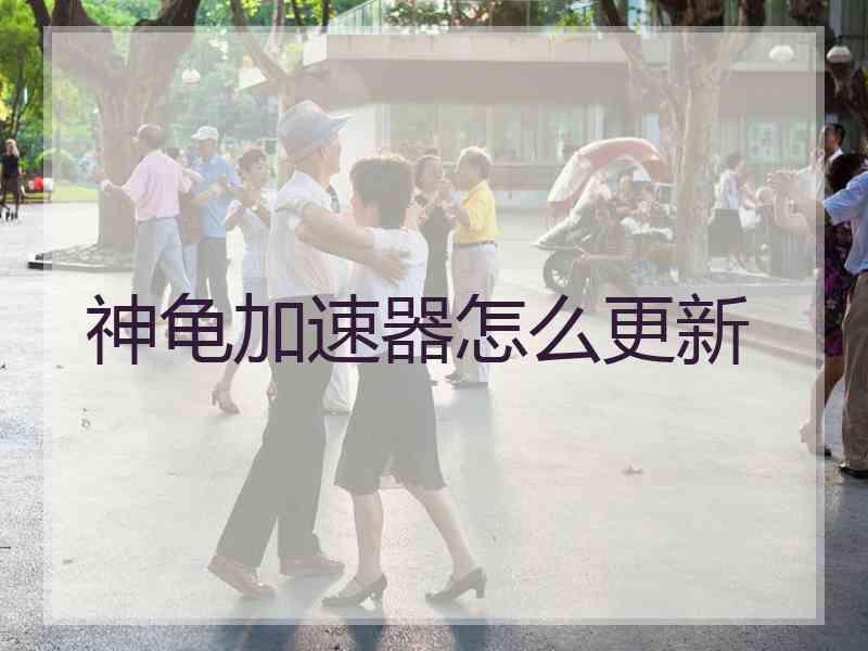 神龟加速器怎么更新