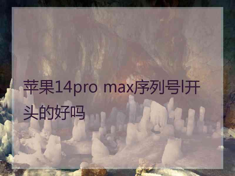 苹果14pro max序列号l开头的好吗