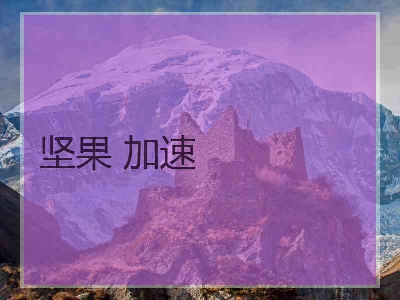 坚果 加速