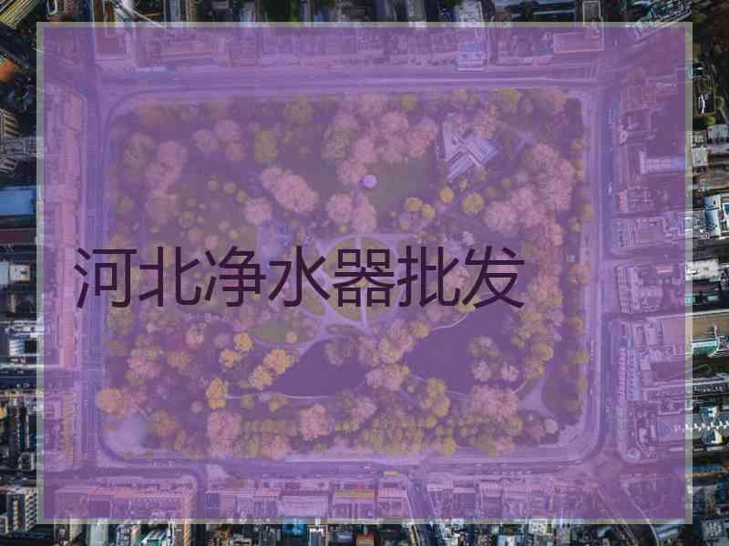 河北净水器批发