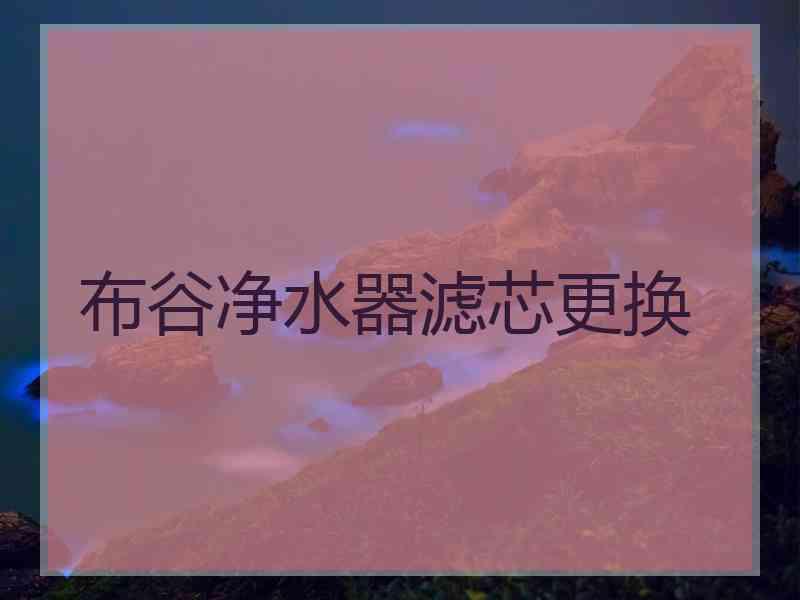 布谷净水器滤芯更换