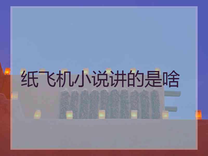 纸飞机小说讲的是啥