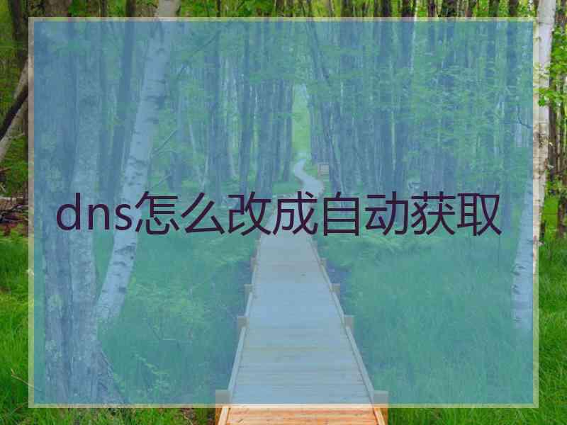 dns怎么改成自动获取