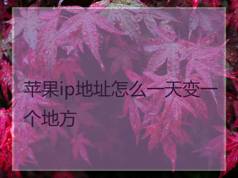 苹果ip地址怎么一天变一个地方