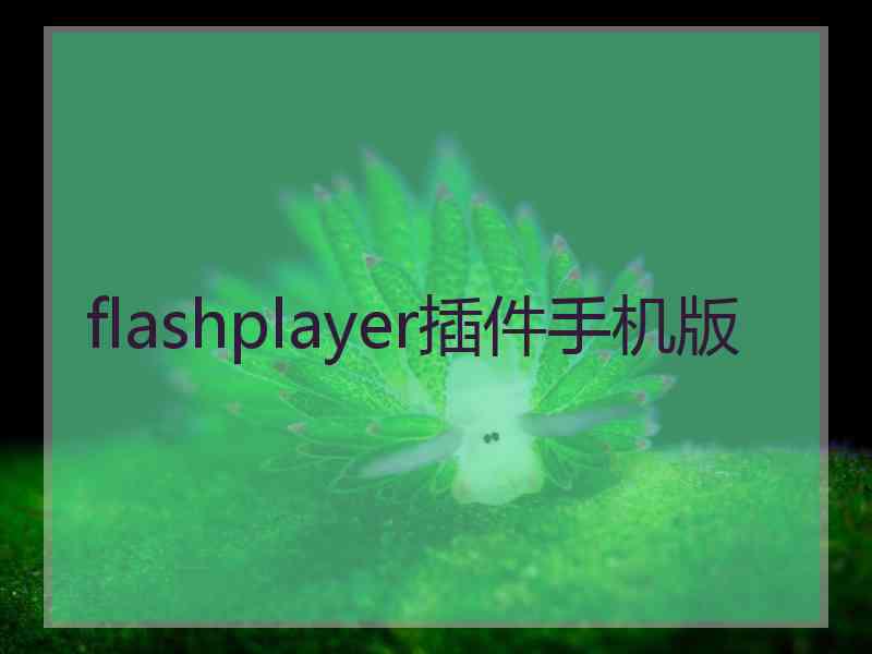 flashplayer插件手机版